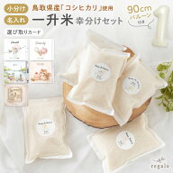 一升米 1歳 小分け 名前入り 一升餅より手軽 1歳 誕生日 お祝い 送料無料 赤ちゃん 男の子 女の子 名入れ…