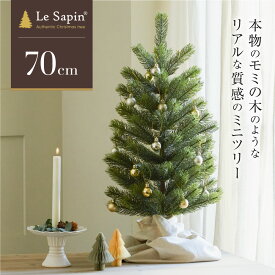 【早期予約で10％OFF★9/30迄】クリスマスツリー 70cm 卓上 ミニ テーブルツリー 棚上 小さい ミニツリー 玄関 モミの木 ヌードツリー おしゃれ リアル シンプル 樅 高級 ツリー 北欧 クリスマス 木 小さめ Le Sapin(R) ル・サパン rv008