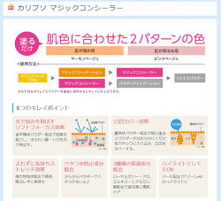 カリプソマジックコンシーラー3colorメールメイクアップ便送料無料アクアキューブ