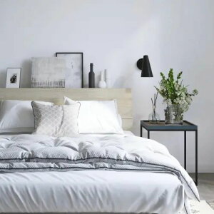 [xbh Z~_u] 123cm [t It RZgt ot Vv  ؖڒ e zAfqh t[̂ t@C{ ~zct t@C{ x[VbN^Cv t