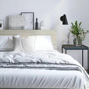 [xbh Z~_u] 123cm [xbh rt It RZgt Vv  ؖڒ zAfqh t[̂ t@C{ ~zct t@C{ x[VbN^Cv t@C