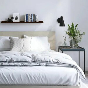 [xbh Z~_u] 123cm [t ot e  ؖڒ zAfqh t[̂ t[̂ t@C{ ~zct t@C{ x[VbN^Cv t@C