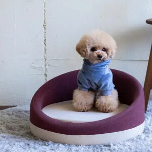 ybgp\t@ p[v ~` t@ubN MTCY 49cm s49cm 24.5cm