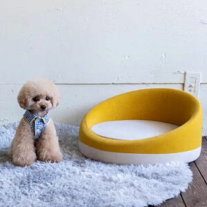 ybgp\t@ CG[ ~` t@ubN MTCY 49cm s49cm 24.5cm