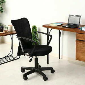 [`FA ֎q] 53cm ]^Cv LX^[t ʃt@ubN It Vv ItBX  bVobN fXN[N [NXy[X ItBX`FA [g[N @