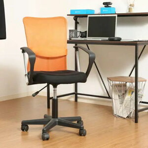 [`FA ֎q] 53cm ]^Cv LX^[t ʃt@ubN It RpNg ItBX  bVobN fXN[N [NXy[X ItBX`FA [g[N 