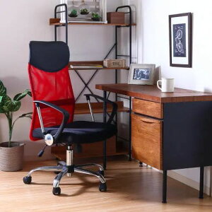 [`FA ֎q] 60cm nCobN LX^[t ʃt@ubN It Vv ItBX  X`[r ʋC [g[N bVf fXN[N [NXy[X X^C