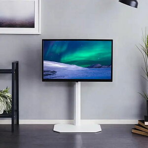 er 49.5cm ^ u  XCO@\ p Vv SʃX`[ R[ȟ^[ U@\ R[i[ X^CbV zCg ubN sN O[ fUC