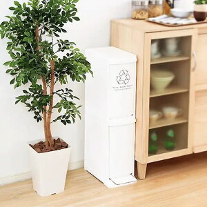 [Lb` [] 21cm Vv {Y X}[g A[o ܎[ _Xg{bNX ^ Ԏd؂ RpNg X^Cv ʎdl tbv y_ Xgbp[t ېOK