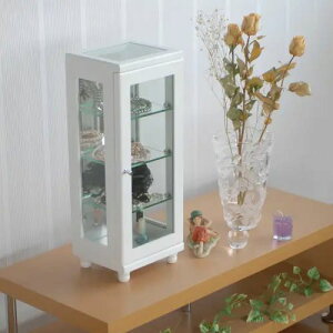 [rO[] ؋r^Cv t[ KXt RNV Vv X}[g A[o RpNg KXI J  s17cm 50.5cm