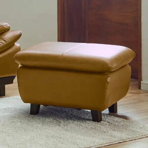 _eCXgȐF nCobNU[\t@ Xc[ CguE