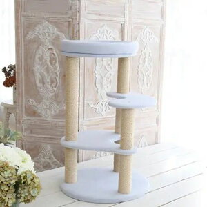 ߂̃fUCňSSȎÂ YLbg^[