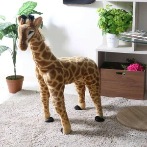 [qpƋ] ʂ 24cm \tgf  L Xc[ IuWF Aj}CeA LbYt@j`[ LbYXy[X fUC CeA p ω׏d80kg x[W 