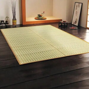 [���� ���O] �R�� �h�L ���x���� ��C�򉻍�p �V���v�� ���{���Y �����J�[�y�b�g �����Y���� �e�͐� �a�� �m�� �I���G���^�� �͗l�ւ� ���ی� �V�R�f�� �R���p�N�g���[ �ȃX�y�[�X ���p�� �X