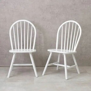 [_CjO `FA] EBU[`FA 47cm w VR؎gp VvfUC kX^C AeB[N JtFX^C fUC