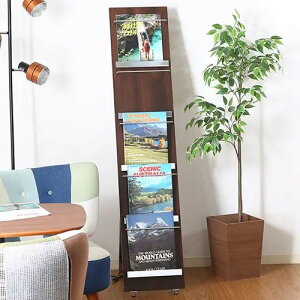 [t[bN] Ebh}KWbN 5i X^Cv ȃXy[X uE 30cm rt X`[r^Cv AWX^[t