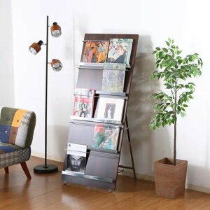 [t[bN] Ebh}KWbN 5i Ch^Cv ȃXy[X uE Vo[ 58cm rt X`[r^Cv Vv ؖڒ