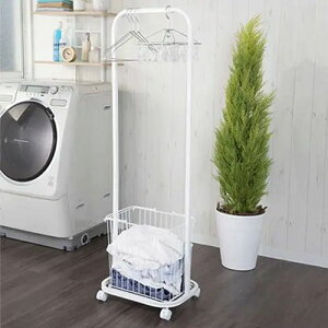 360x]̃LX^[tŎR݂ɓ h[nK[bN