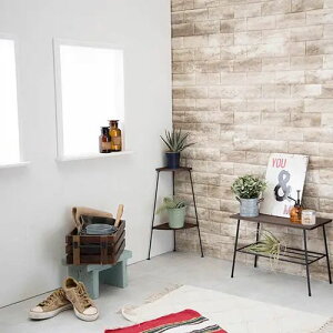 [t[bN] R[i[bN 2i uE ubN O[R[i[ gC i 25.5cm Vv VR X`[r^Cv