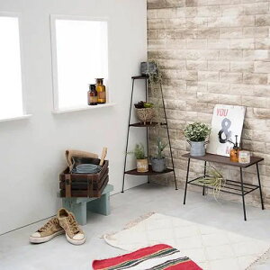 [t[bN] R[i[bN 3i uE ubN O[R[i[ gC i 30cm Vv VR X`[r^Cv