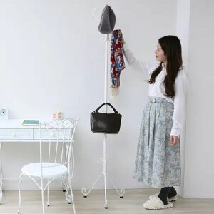 [43cm] |[nK[ ubN zCg rt AWX^[t X`[ _  RpNg A[o Vg[ Pn X}[g ^ e