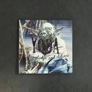 [30×30] fGɍʂ yX^[EH[Yzu[_ṽt@ubN{[h