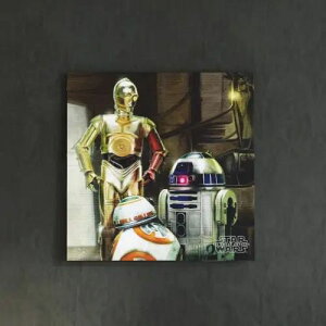 [30×30] F򂹂Ȃ yX^[EH[YzEP7̃t@ubNpl