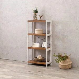 [t[bN] bN 4i zCgEHbV CguE ⋭ ϋv \ 60cm ؋r^Cv It VR Vv i`