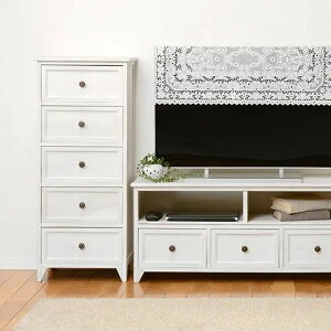 [rO `FXg] AeB[N`FXg 5i zCg 41cm rt ot VR Vv t`Jg[ RpNg AeB[N