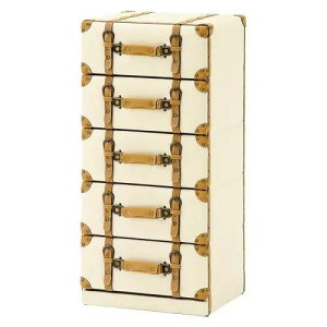 [rO `FXg] gN^`FXg 5i AC{[ ANZg ؂₩ S[WX 41cm ot Be[W  AeB[N RpNg