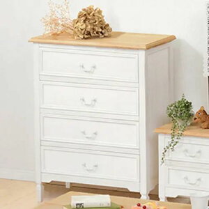 [rO `FXg] 4i`FXg zCg Vr[eCXg 60cm rt ؋r^Cv ot  i` AeB[N ؖڒ RpNg