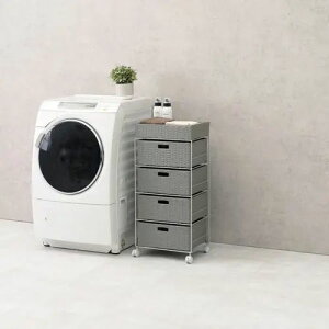 [h[`FXg] Ch^Cv o4t O[ 40.5cm ot LX^[t X`[ Vv ^ RpNg