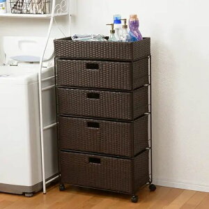 [h[`FXg] _[NuE o4i ^ [^ Ԏ[ Ch^Cv JSt 60cm It ot LX^[t X`[ Vv