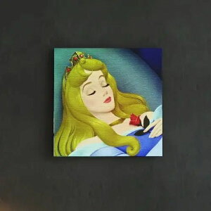 [30×30] X̔̃t@ubN{[h I[P }tBZg