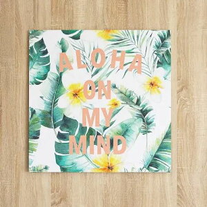 ̂Fœ썑̂邨 vÃt@ubNpl