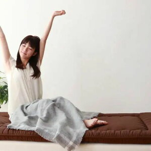 敷布団 シングル 幅100cm 軽量 防ダニ 抗菌 防臭 丸洗い可 水洗い可 日本国産 アイボリー モカブラウン 高弾力 通気性 安定感 耐久性