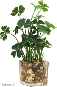 CeAptFCNO[ Ύ  ϗtA lt̃N[o[ (O[, )