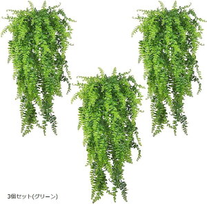 tFNO[ CeA ϗtAtFCN ^ ݂艺  CeAG V_ ͂Ȃ  EH[O[ 3 (3Zbg(O[))