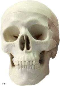 yyVLO1ʓ܁zW  {֐ l ͌^  ^Cv wZ w  W  fbT p ^ (^)