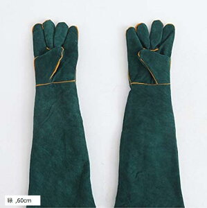 yyVLO1ʓ܁zybgO[u Lv o[xL[  |  ঒ ݂  ϔM (, 60cm)