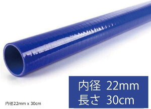 yyVLO1ʓ܁z݊imorytrade WG^[ z[X VR `[u Xg[g ϔM ψ a 22mm 30cm (30cm)