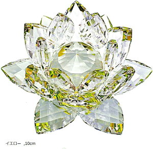 NX^KX  @̉ [^X TLb`[  CeA vY d  IuWF Mtg v[g(CG[, 10cm)