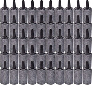 yyVLO1ʓ܁zp GAXg[ 50Zbg ~ CA _f fBt[U[ ANAE GA[|v 15mmx25mm (15mmx25mm)