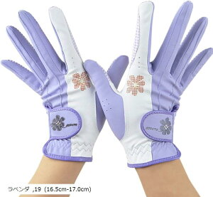 v~[m St O[u  fB[X  tBbg ϋv fUC x_[ 19 16.5cm-17.0cm(x_, 19 (16.5cm-17.0cm))