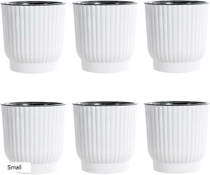 v^[  z [vt 2d\ Aؔ Ԕ vX`bN 6Zbg S (zCg, Small)