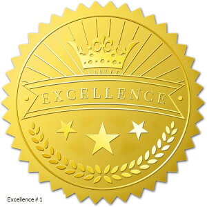 yyVLO1ʓ܁z100 XebJ[ G{XH قуV[ Excellence1 (Excellence1)