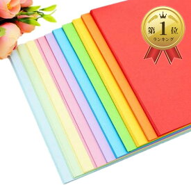 【楽天ランキング1位入賞】大きい折り紙 大きいサイズ 25cm 100枚 おりがみ 両面折り紙 大判 10色 (10色)