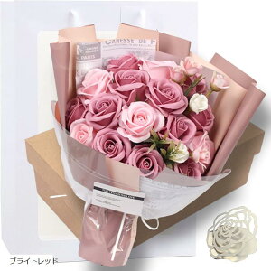 \[vt[ LO ޏ KN ԑ Mtg  bZ[WJ[h VbvobOt(uCgbh)