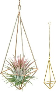 yyVLO1ʓ܁zvgnK[ ACA GAvc z_[ ݂艺 ϗtA Az_[ S[h