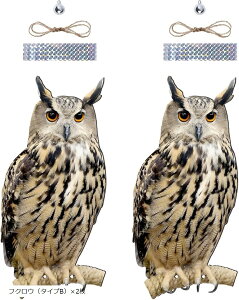  悯 ObY JX悯 悯  JX΍  x_ tNE    h }V ݂艺 (uE, tNEi^CvBjx2)